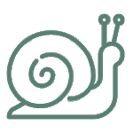 snail icon