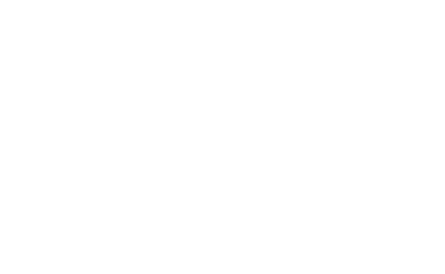 https://www.spritvest.com/wp-content/uploads/2026/03/soti-logo.png