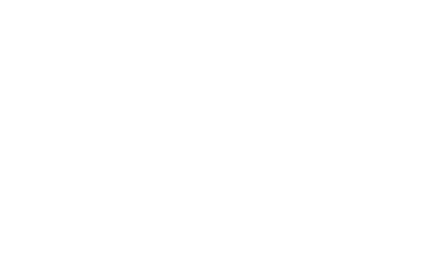 Datalogic