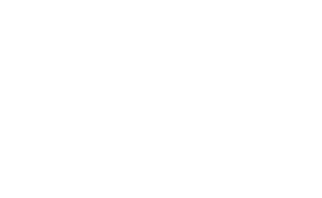 Pricer
